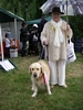 Class 6: Dog most like its Owner